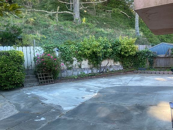 3rd image of 204 Palisades Dr