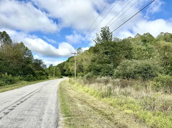 N Dixon Run Rd, Thurman, OH 45685