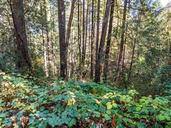 LOT 20 Glory Hole Dr, Camino, CA 95709