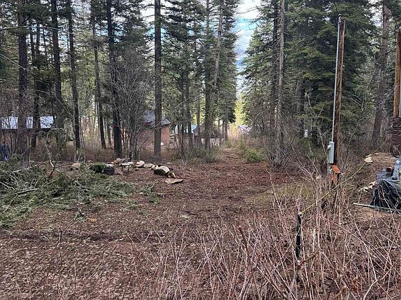 2nd image of 1204 Porcupine Rd