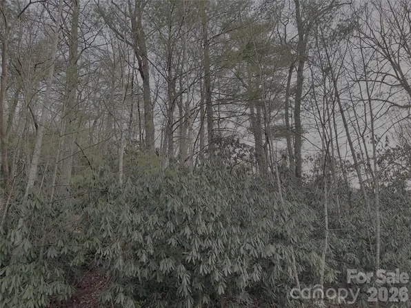 742 Zelda Ct Lot 71, Hendersonville, NC 28792