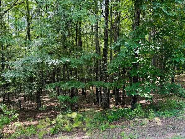 (undisclosed Address), Heber Springs, AR 72543