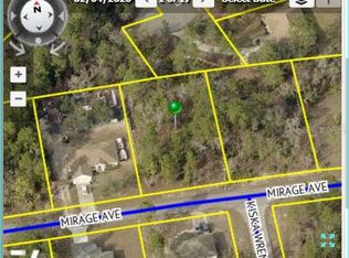 11379 Mirage Ave, Brooksville, FL 34614