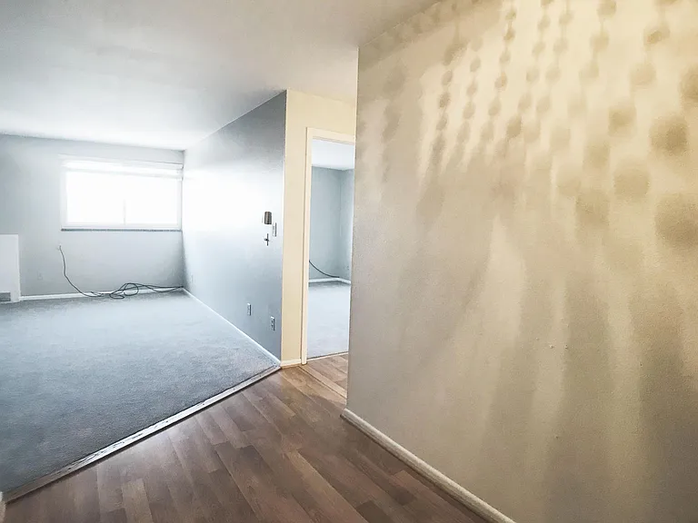 1243 Gaylord St #505 — Photo 4