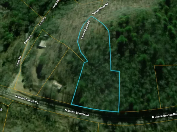 0 N Blaine Branch Rd, Franklin, NC 28734