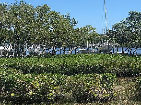 Boats on lifts in marina