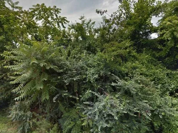 LOT 83 York St, Suffolk, VA 23435
