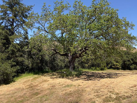 4th image of 3 Ohlone Trce
