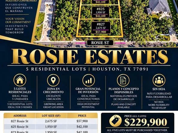 819 Rosie St, Houston, TX 77091