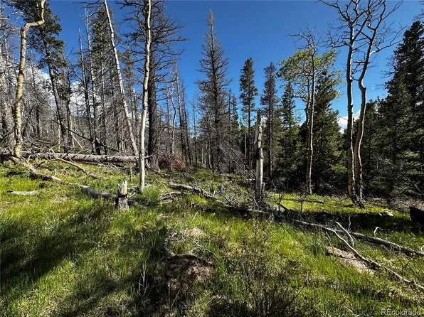 3260 Grojean Drive LOT 3260, Fort Garland, CO 81133