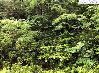 Tbd Gumtree Rd, Beech Mountain, NC 28604