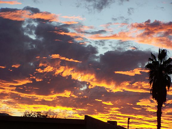 Beautiful sunsets Back Deck