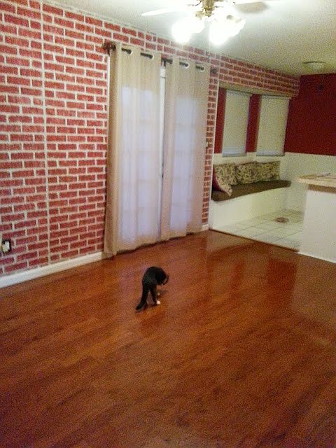 Dinning room