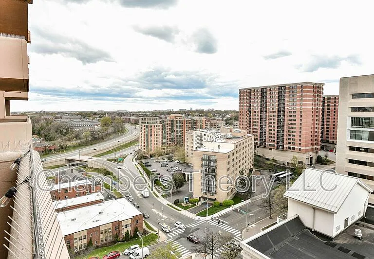 1301 N Courthouse Rd #1605 — Photo 23