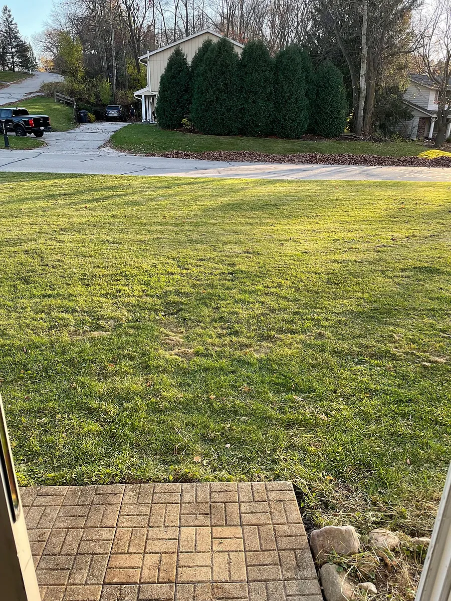 Side yard - 711 Mansfield Ct #711