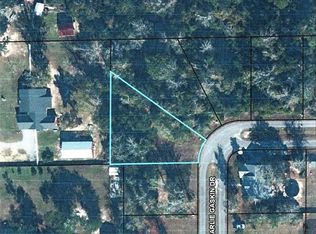 25 Charlie Gaskin Dr, Wewahitchka, FL 32465