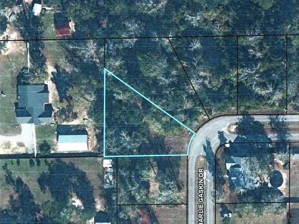 25 Charlie Gaskin Dr, Wewahitchka, FL 32465