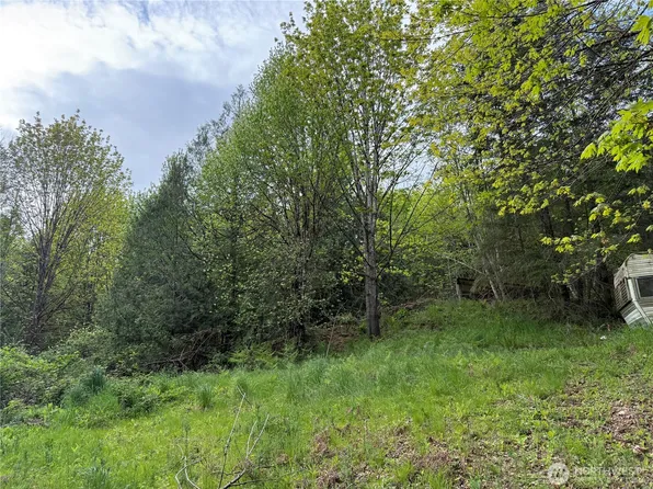 801 SE Fireweed Road, Shelton, WA 98584