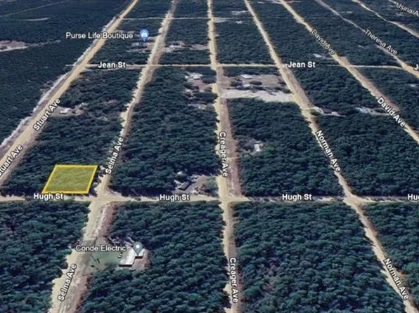 Salem Avenue Lot #1, Interlachen, FL 32148