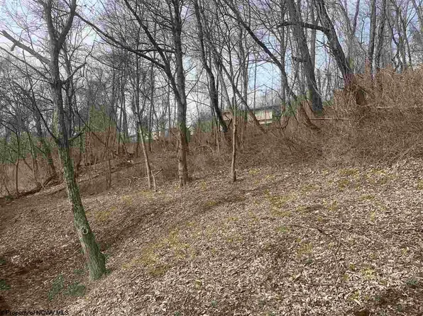 0 Hodges St, Morgantown, WV 26505
