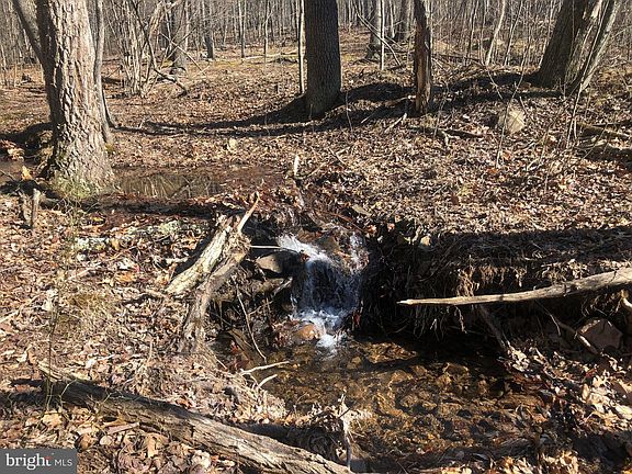 3rd image of 176 Ashton Woods Dr