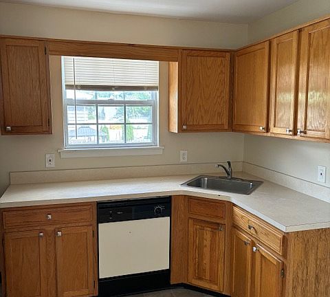 Kitchen & Dishwasher