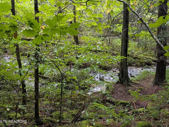 Catoosa Dr Lot 27, Lancing, TN 37770
