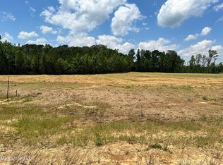 17 Riverwood Cv S, Lake Cormorant, MS 38641