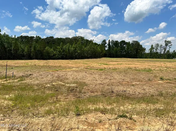 17 Riverwood Cv S, Lake Cormorant, MS 38641