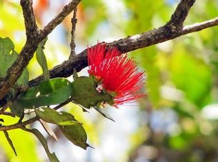 Uluhemalu Lot 1, Volcano, HI 96785