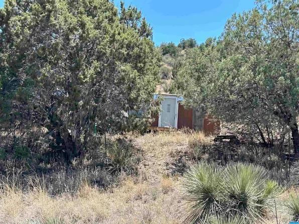 38 1/2 Century Dr, Mimbres, NM 88049
