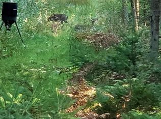 0 Towerline Rd, Whittemore, MI 48770