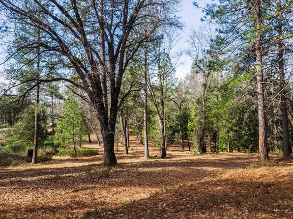 4900 Kelley Pl, Garden Valley, CA 95633