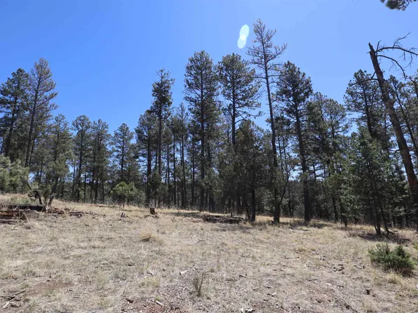 Iron Gate Dr, Mayhill, NM 88339