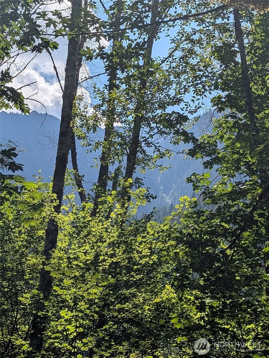 0 Clear Creek Road photo 1