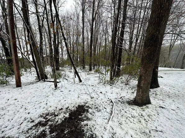 8 Swiss Rhododendron Dr, Terra Alta, WV 26764