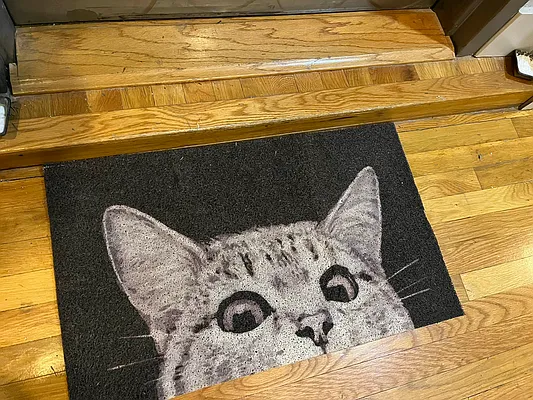 Rented by City Vista Inc | media 74