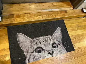 Rented by City Vista Inc