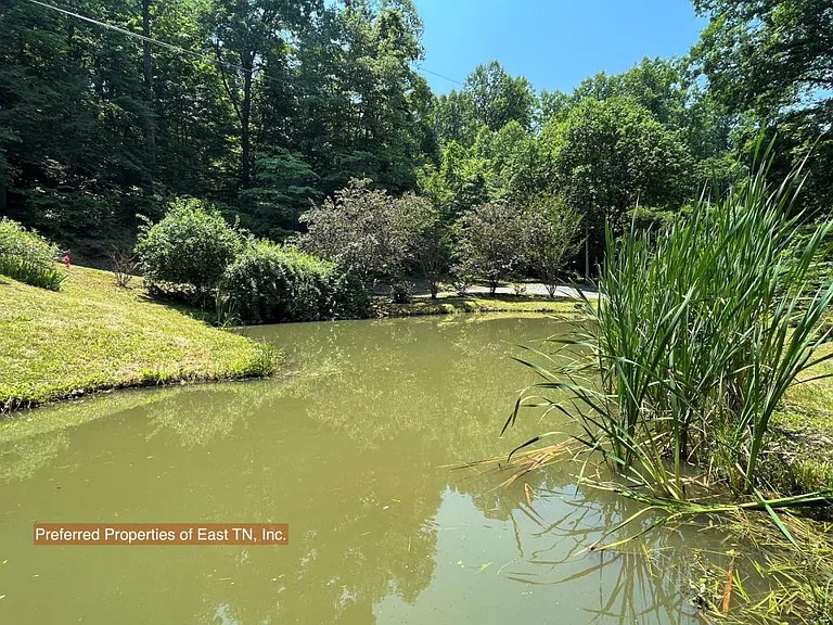 709 Brown Mountain Rd — Photo 30