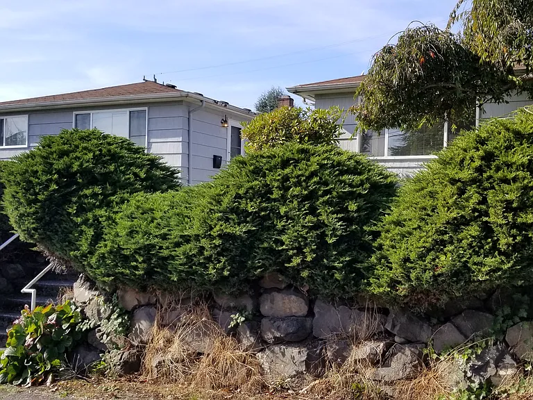 4131 35th Ave SW — Photo 3