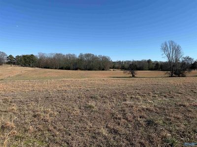 20A Bob J Rd, Lester, AL, 35647