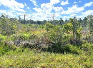 1545 S Griese Rd, Avon Park, FL 33825