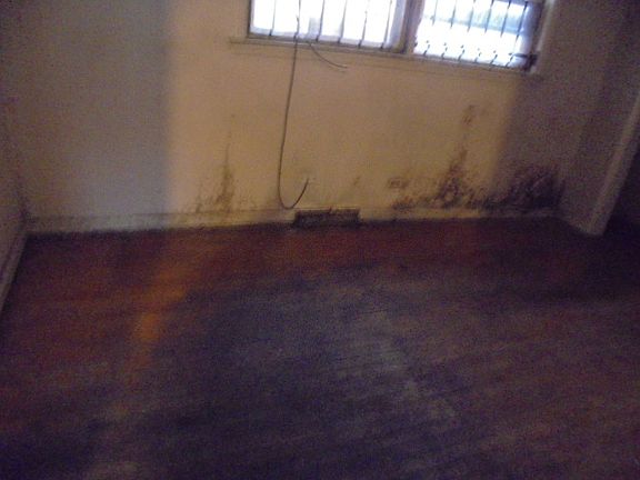 5th image of 6638 S Vernon Ave