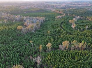 104 Gammage Rd, Pittsview, AL 36871