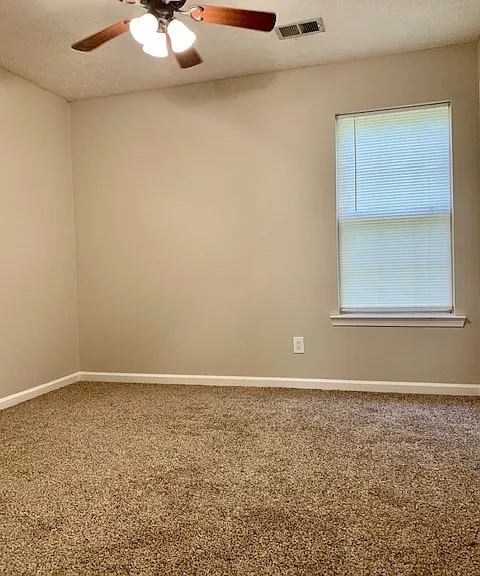 11728 Palmer Ct — Photo 13