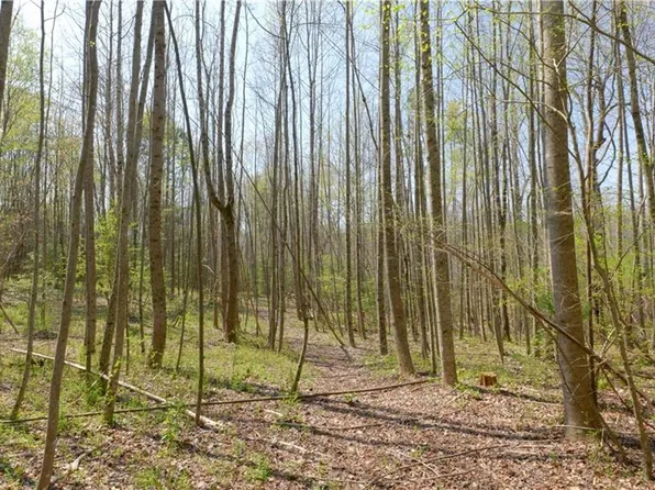 1 Emmas Way #1, East Bend, NC 27018