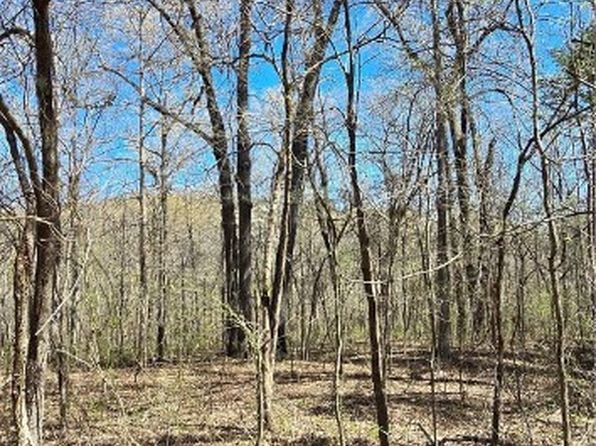 0 Cane Branch Rd, Western Grove, AR 72685