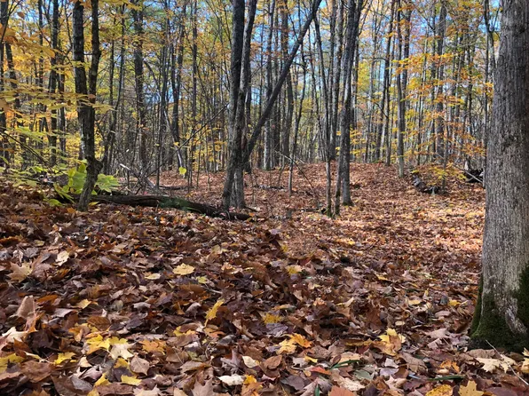 Lot #265 Deer Crossing Road, Limerick, ME 04048