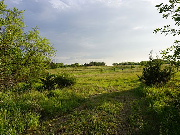 Looking west from Lot 4