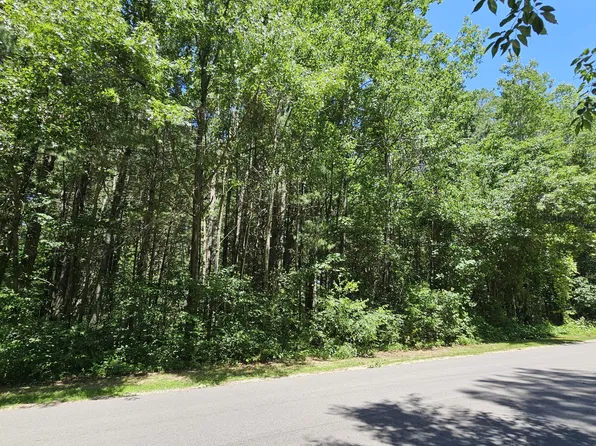 19843 Heights Circle Dr, Big Rapids, MI 49307